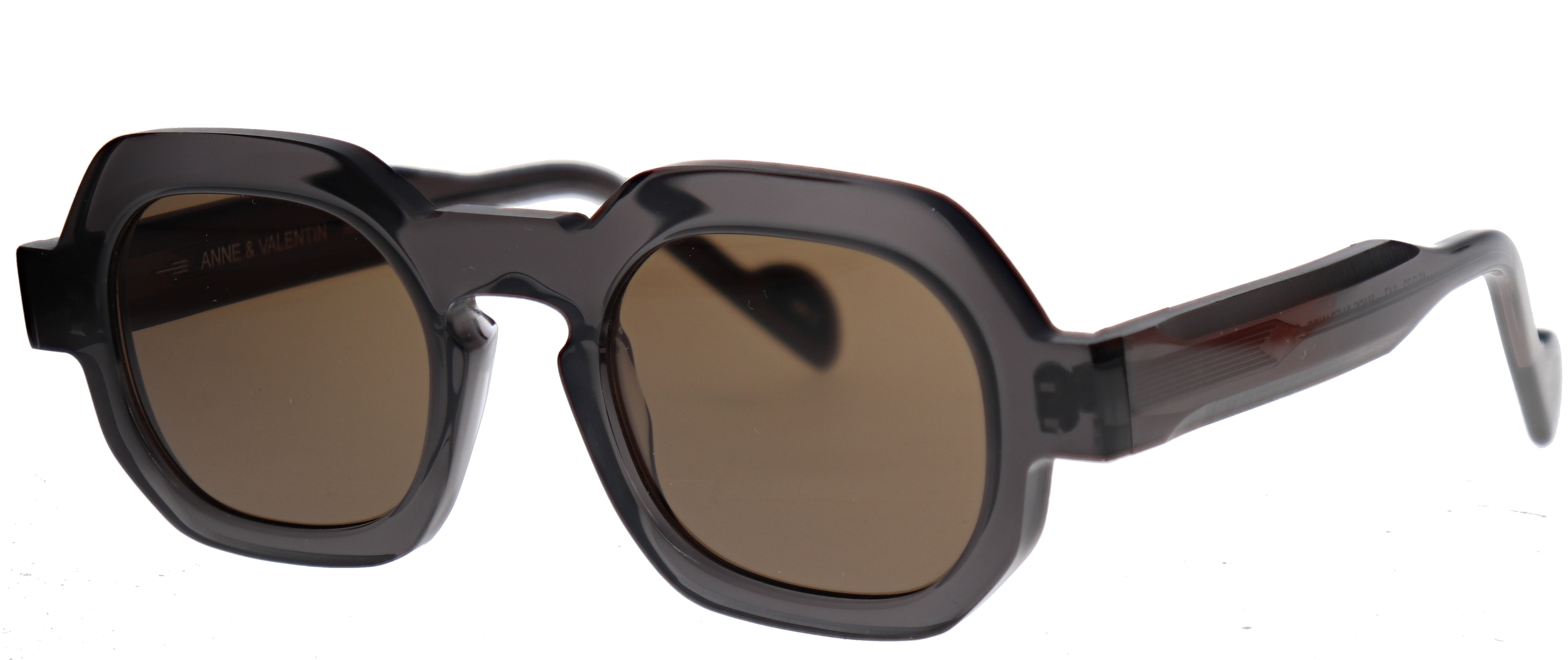 Anne et Valentin Satie