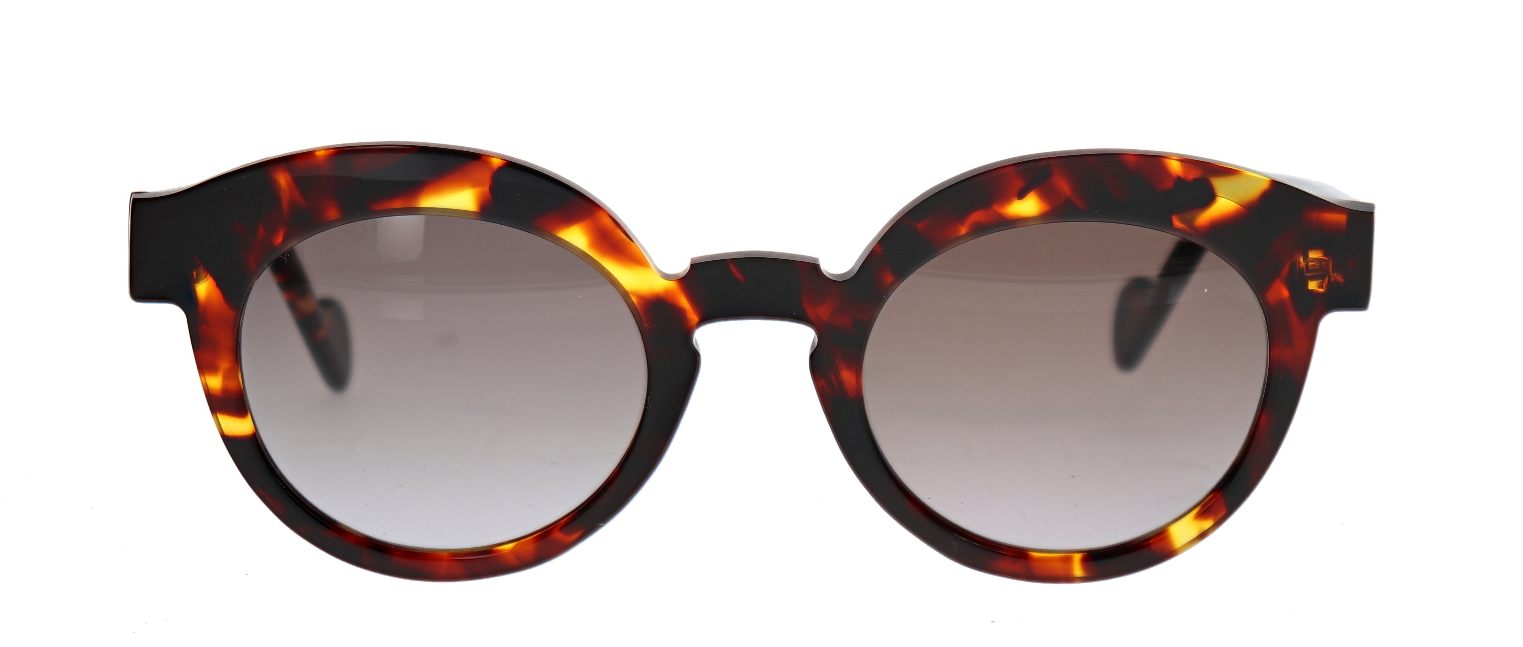 Anne et Valentin Sciamma