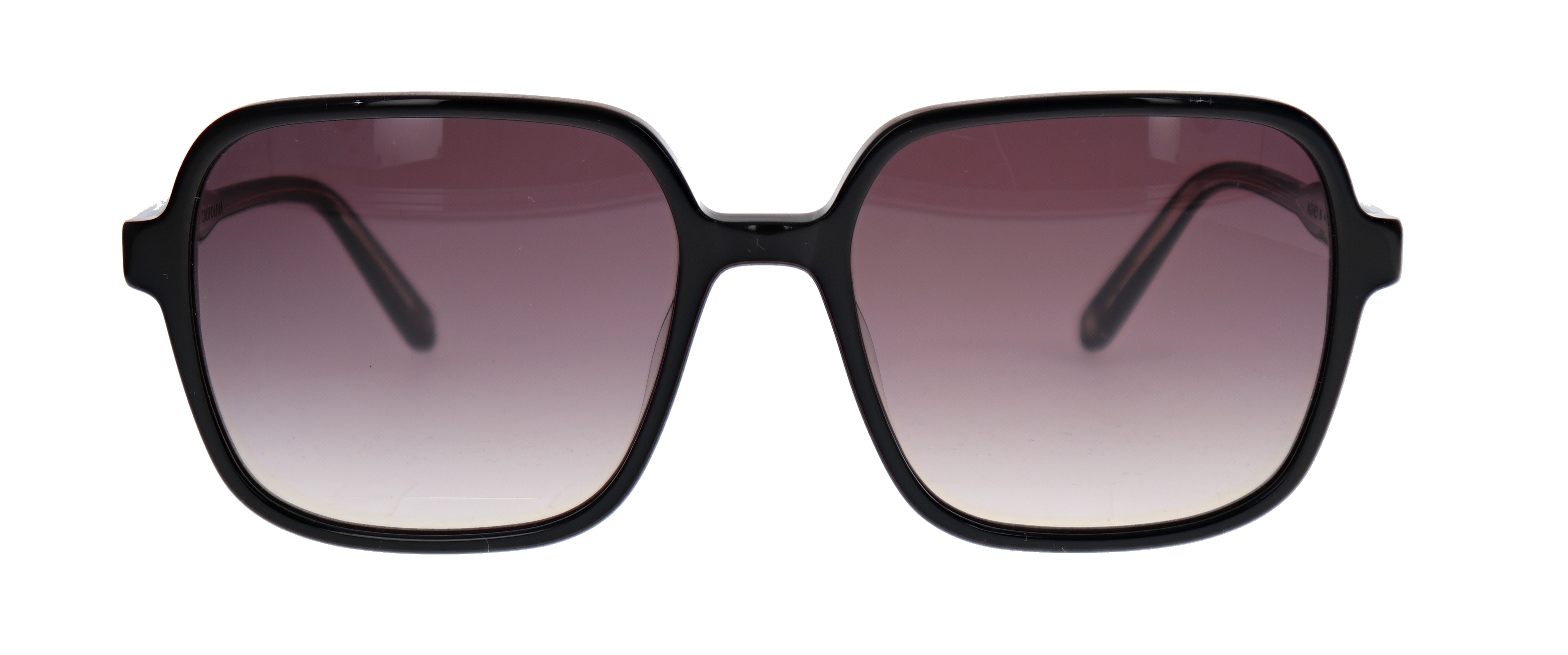 Garrett Leight Agnes
